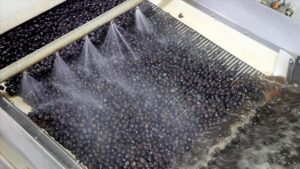 thumbs b c 8e17330c3088ffd64bef3f2c0dc94578