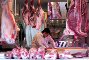 thumbs b c a8a0c3a5ec2f5a480ae22da0b425f600