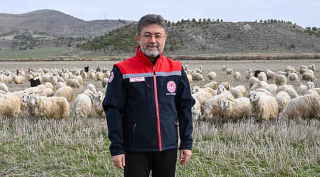 Tiftik keçisi üretimine yönelik destekler artırılıyor