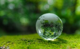 Dijital reklamda sürdürülebilirlik ve performans bir arada