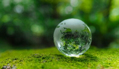 Dijital reklamda sürdürülebilirlik ve performans bir arada