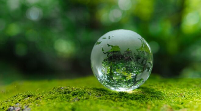 Dijital reklamda sürdürülebilirlik ve performans bir arada