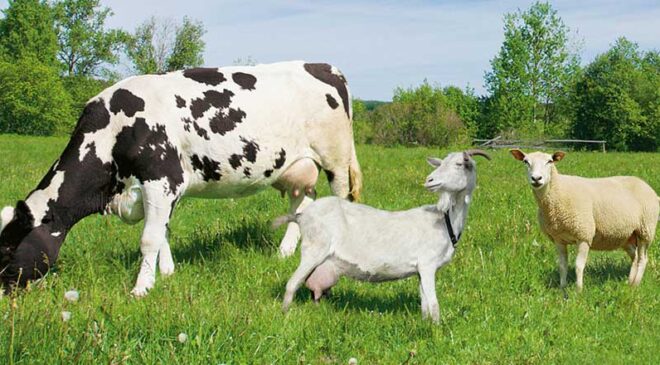 Tarım ve Orman Bakanlığından 2,7 milyar liralık destek