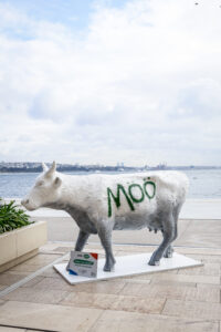 Dikkat Inek Cikabilir 26