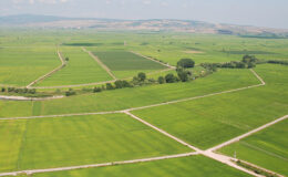 Türkiye’de arsa yatırım skoru en yüksek ilçe İzmir Buca oldu