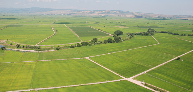 Türkiye’de arsa yatırım skoru en yüksek ilçe İzmir Buca oldu
