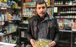 Borsa değil aktar pazarı: Çiçek ıhlamur 4 bin 500 TL ile gram altına meydan okuyor!