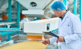 Gıda sektörünü taşa tutmak