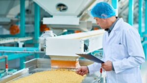 gida uretim sektoru icin gida guvenligi belgesi