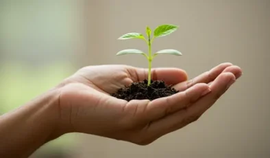 Sürdürülebilir yarınlara yeşil bir miras