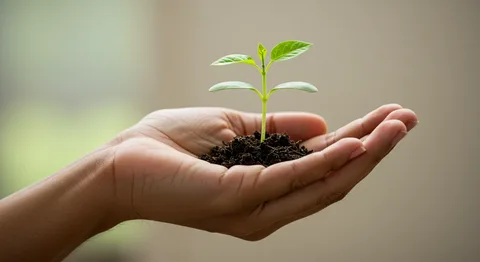 Sürdürülebilir yarınlara yeşil bir miras