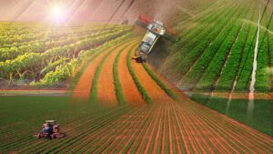 Tarımda bütüncül dönüşüm vizyonu