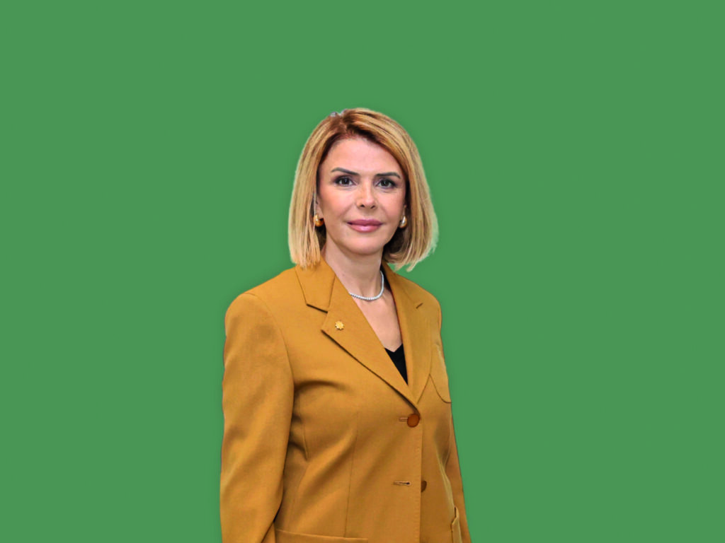 Ekonomide 2025'te ne oldu? 2026'yı ne bekliyor? 12 sultan tepe