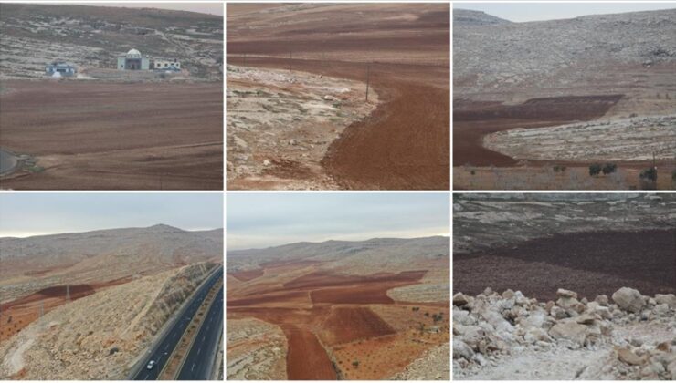 GAP’ta toprak devrimi: 50 bin dekarlık taşlık arazi ekonomiye “can” suyu olacak