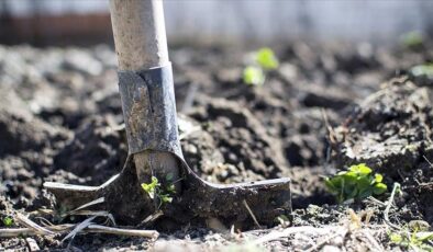 Gübre ve tarım sektörüne karbon uyarısı