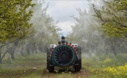 Çiftçiye kasımda 376,8 milyon liralık destek