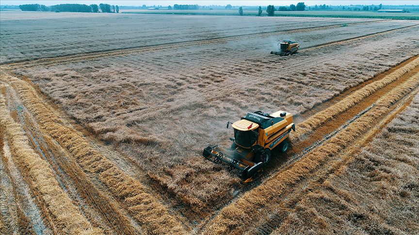 thumbs b c a235a499bb29652083deac255bbcfeeb