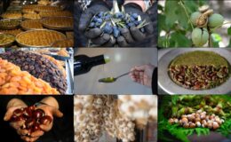 Coğrafi işaretli ürünlerde Türkiye zirveye oynuyor