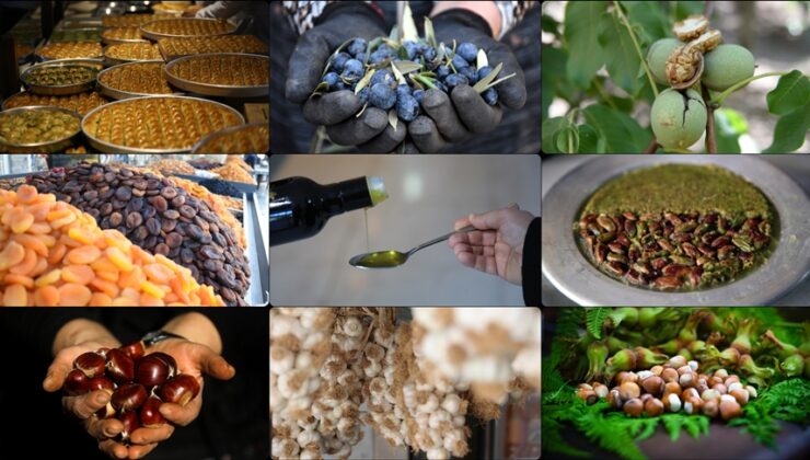 Coğrafi işaretli ürünlerde Türkiye zirveye oynuyor