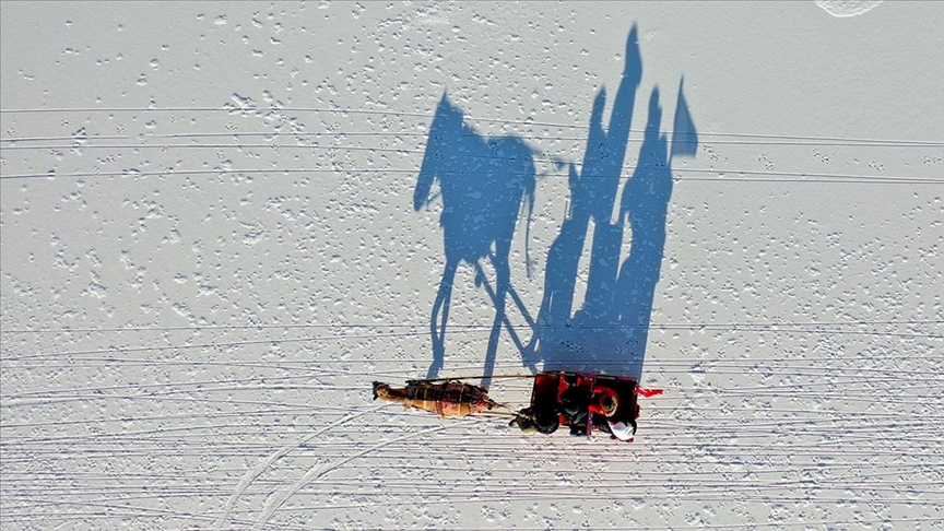 thumbs b c f815e4672287701ad0a2d4a459cf7c76