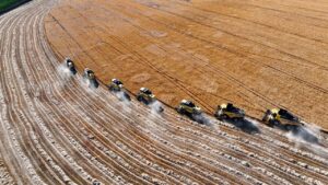 tigem tarla tarim 2398323