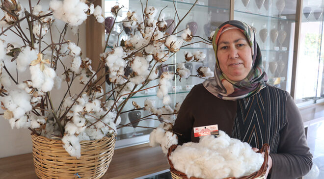 Adana’nın yeni beyaz altını Galaxy 351 tescillendi: Tekstil sektöründe kalite çıtası yükseliyor