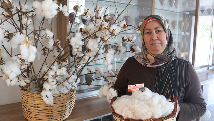 Adana’nın yeni beyaz altını Galaxy 351 tescillendi: Tekstil sektöründe kalite çıtası yükseliyor