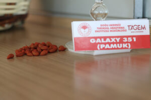 006 2026 12 Ocak 19 Ocak 14 20260121 2 72595541 121399829