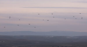 05 2026 12 OCAK 05 20260127 2 72686433 121620031