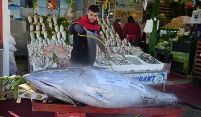 Karadeniz’den çıkan 353 kiloluk Orkinos trafiği kilitledi!