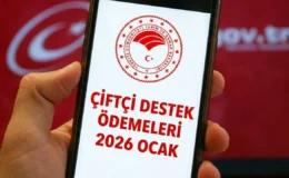 Çiftçinin beklediği ödeme hesaplara geçti! İşte e-Devlet sorgulama ekranı