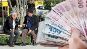 Bahçeli'nin emekli maaşı çağrısı Meclis gündeminde: Baki Ersoy'dan milyonları heyecanlandıran "Sefalet ücreti" çıkışı 4 devlet bahcelinin emekli maasi cagrisi gerceklesecek mi baki ersoydan mecliste milyon 3278038