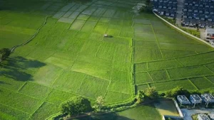 kentsel donusum baskanligindan kacirilmayacak firsat 440 arsa 24 ay vade ile satisa c 3279201 photogallery 3