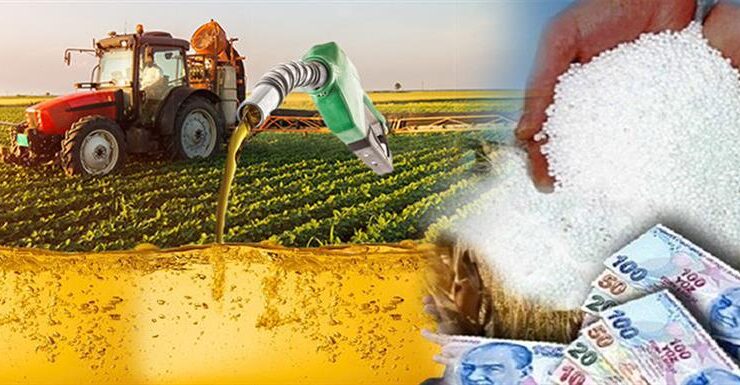 Çiftçiye müjde: 255 milyon liralık dev ödeme bugün hesaplarda!