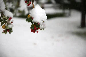 Meteoroloji’den "Turuncu" kodlu uyarı: Kar fırtınası 4 gün sürecek, Trakya’dan giriş yapıyor! 5 meteoroloji 12 kenti uyardi kuvvetli kar yagisi ve buz gibi hava geliyor 3278895 202601280747 1 1