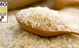 Pirinç alımları 26 Ocak’ta başlıyor