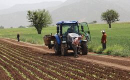 Genel tarım sayımının yüzde 90’ı tamamlandı