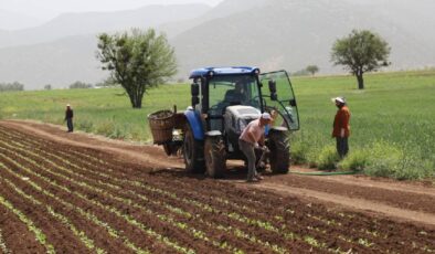 Genel tarım sayımının yüzde 90’ı tamamlandı