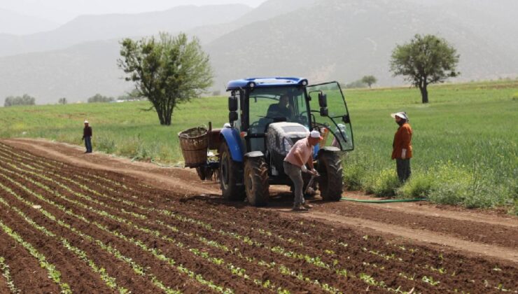 Genel tarım sayımının yüzde 90’ı tamamlandı