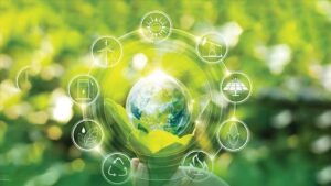 thumbs b c 0f9436c30babac86d445cbd39e411744