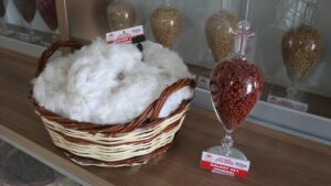 thumbs b c 10e98eeac1493cf90436b1f036dd44e9