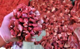 İstanbul’da ramazan bereketi: 30 dev market zinciri et ve tereyağı fiyatlarını sabitledi