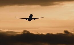 Türkiye’nin hava yolu filosu 5 yılda uçak sayısını 800’e çıkardı