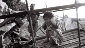 2021 02 hocali katliami 1