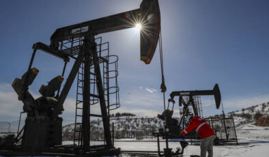 Güneydoğu’daki 4 il ham petrolün yüzde 28’ini üretiyor