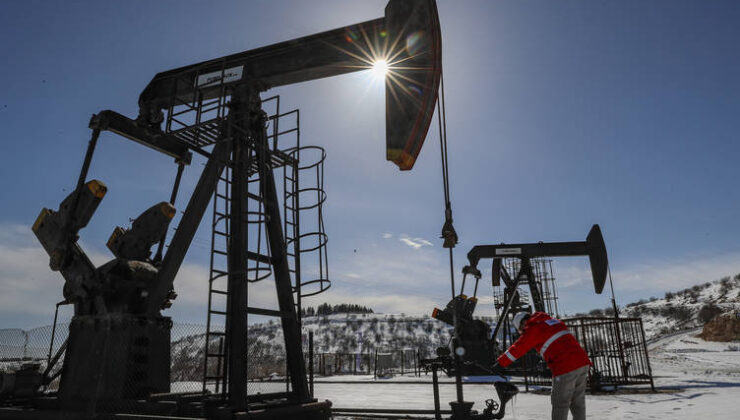 Güneydoğu’daki 4 il ham petrolün yüzde 28’ini üretiyor