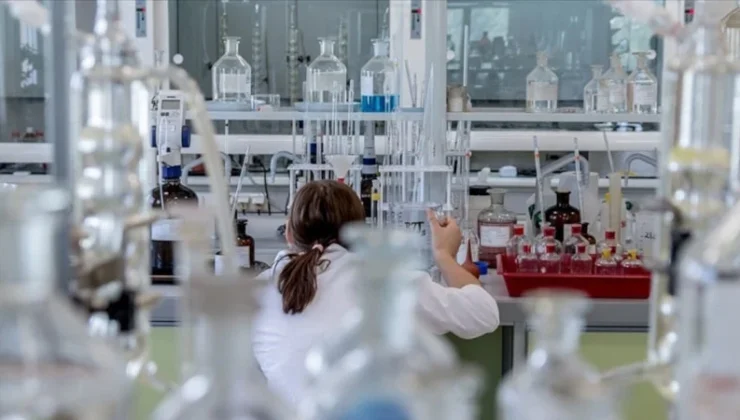 Genç bilim insanlarına dev davet: Türkiye’ye dönüş için 50 bin euro hibe