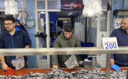Bolu halk pazarı tezgahlarında hamsi bereketi: Fiyatı gören sıraya girdi