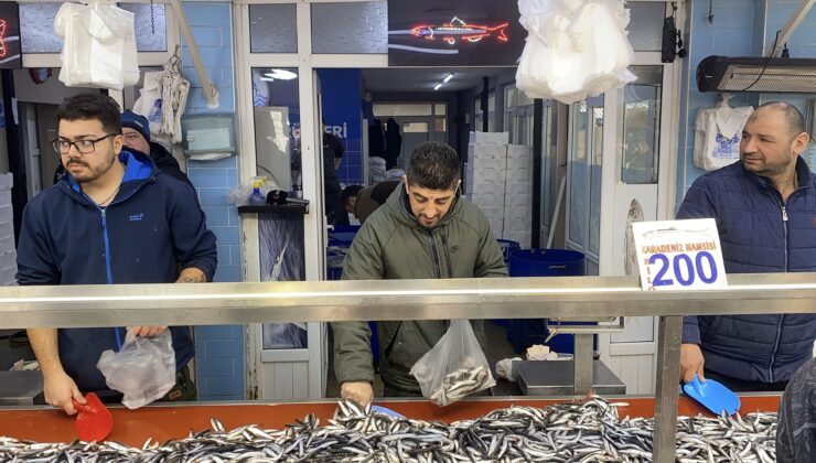 Bolu halk pazarı tezgahlarında hamsi bereketi: Fiyatı gören sıraya girdi
