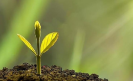 Türk şirketleri iklim sınavına hazır mı?